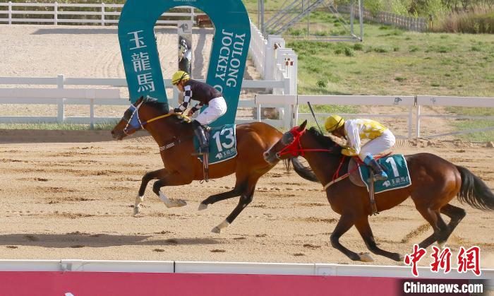 山西右玉县开启玉龙国际赛马公开赛与中国马主