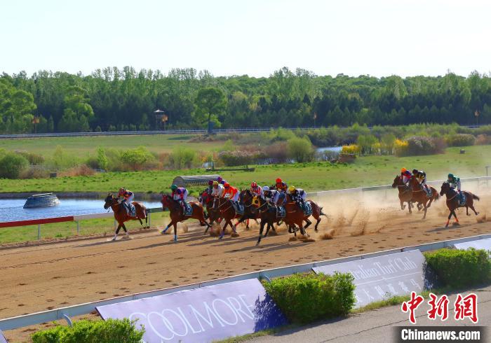 山西右玉县开启玉龙国际赛马公开赛与中国马主