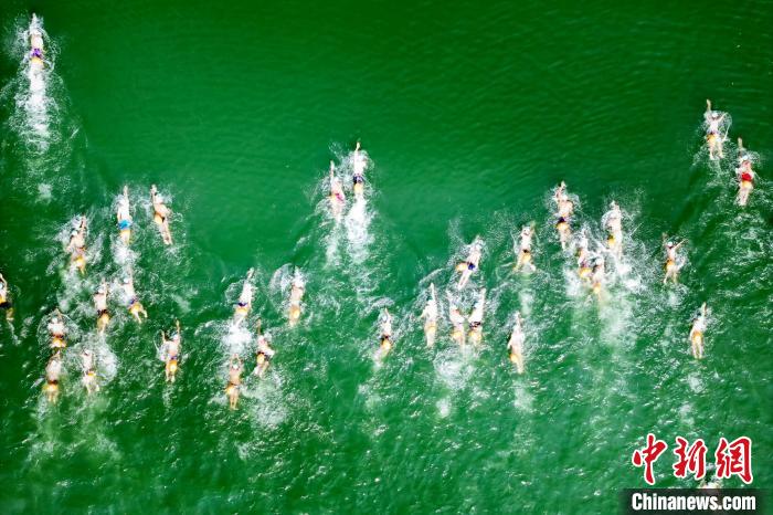 陕西千余名泳者聚丹江劈波斩浪力争上游展现山