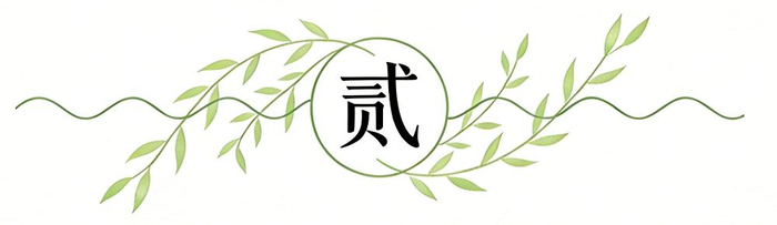 中国女篮抽签遇强敌 宫鲁鸣调整阵容应对死亡之